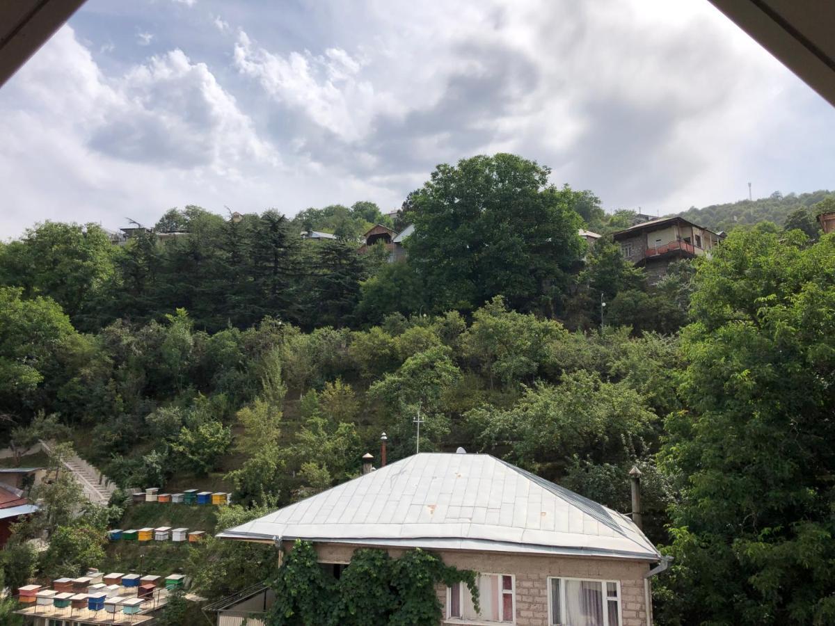 Cozy Apartment For Real Rest Dilican Dış mekan fotoğraf